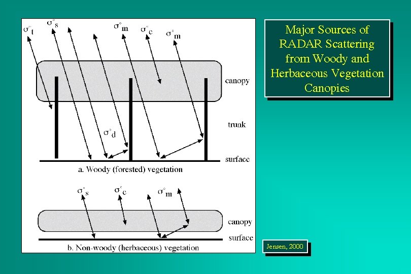 Major Sources of RADAR Scattering from Woody and Herbaceous Vegetation Canopies Jensen, 2000 