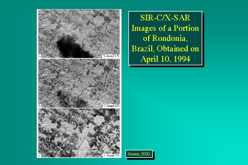 SIR-C/X-SAR Images of a Portion of Rondonia, Brazil, Obtained on April 10, 1994 Jensen,
