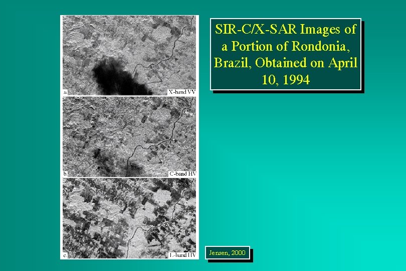 SIR-C/X-SAR Images of a Portion of Rondonia, Brazil, Obtained on April 10, 1994 Jensen,
