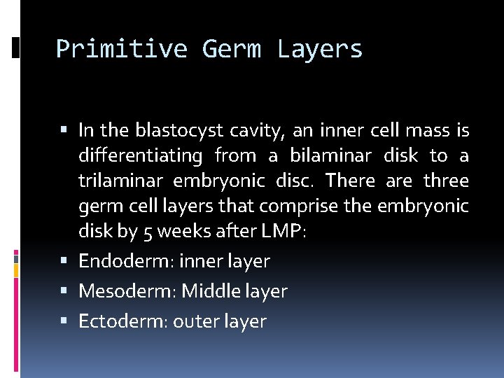Primitive Germ Layers In the blastocyst cavity, an inner cell mass is differentiating from