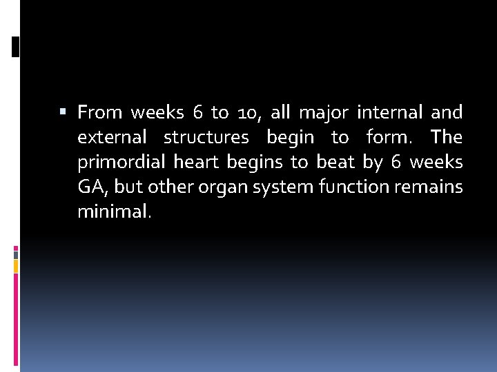  From weeks 6 to 10, all major internal and external structures begin to