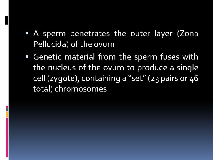  A sperm penetrates the outer layer (Zona Pellucida) of the ovum. Genetic material