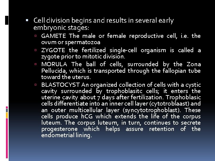  Cell division begins and results in several early embryonic stages: GAMETE The male