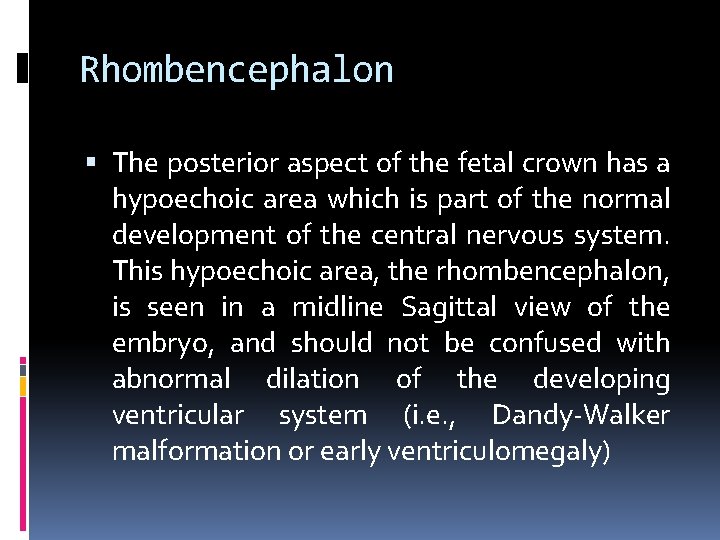 Rhombencephalon The posterior aspect of the fetal crown has a hypoechoic area which is
