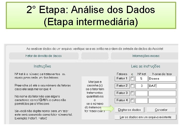 2° Etapa: Análise dos Dados (Etapa intermediária) 