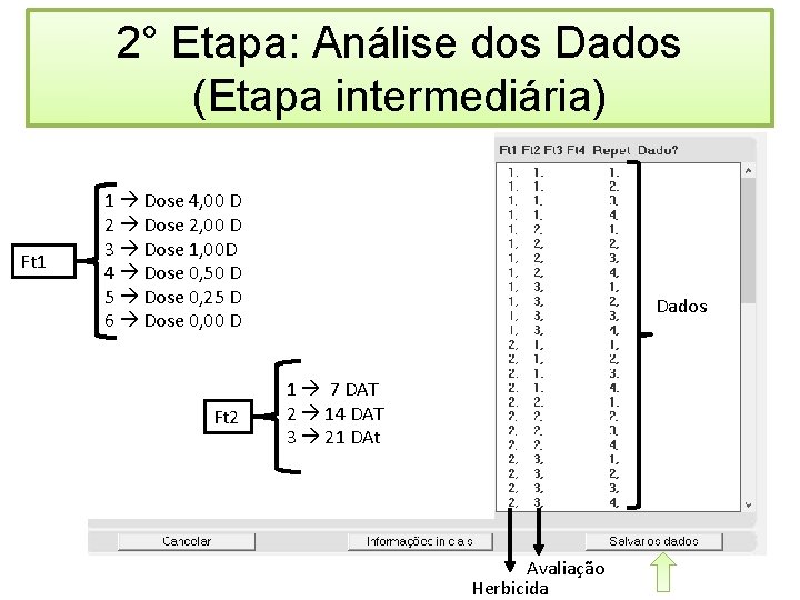 2° Etapa: Análise dos Dados (Etapa intermediária) Ft 1 1 Dose 4, 00 D