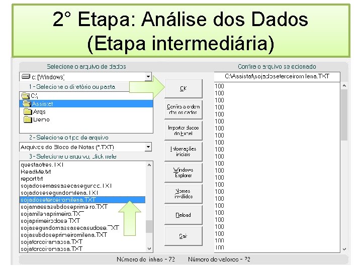 2° Etapa: Análise dos Dados (Etapa intermediária) 