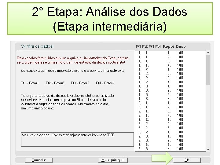 2° Etapa: Análise dos Dados (Etapa intermediária) 