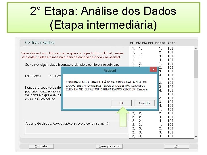 2° Etapa: Análise dos Dados (Etapa intermediária) 