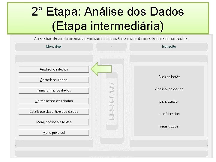 2° Etapa: Análise dos Dados (Etapa intermediária) 