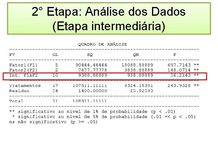 2° Etapa: Análise dos Dados (Etapa intermediária) 