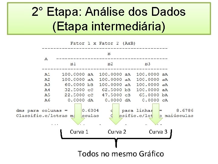 2° Etapa: Análise dos Dados (Etapa intermediária) Curva 1 Curva 2 Curva 3 Todos