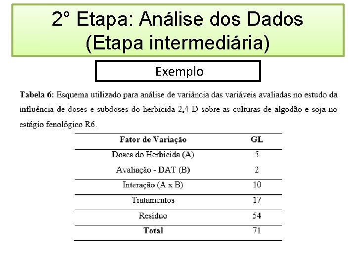 2° Etapa: Análise dos Dados (Etapa intermediária) Exemplo 