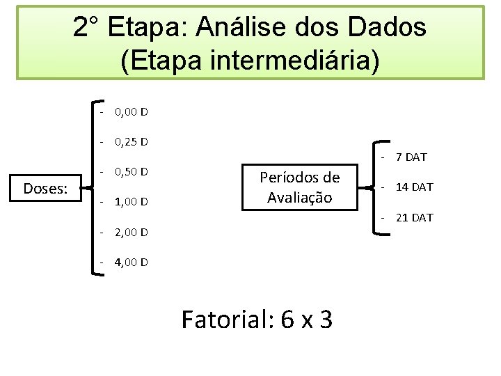 2° Etapa: Análise dos Dados (Etapa intermediária) - 0, 00 D - 0, 25