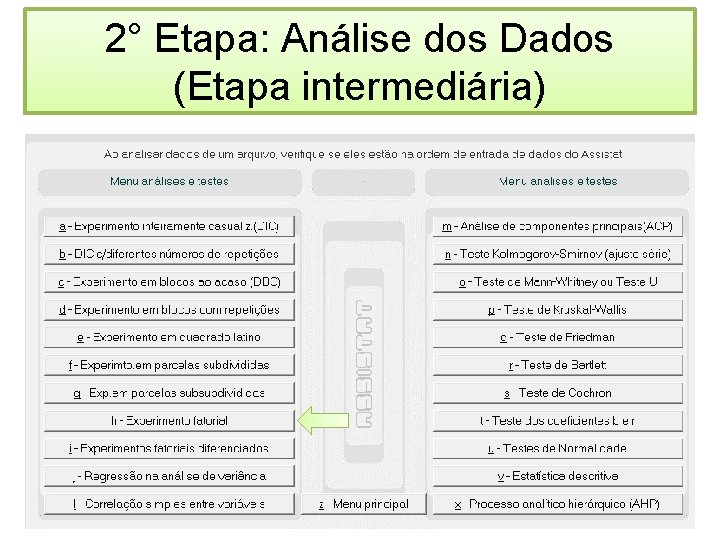 2° Etapa: Análise dos Dados (Etapa intermediária) 