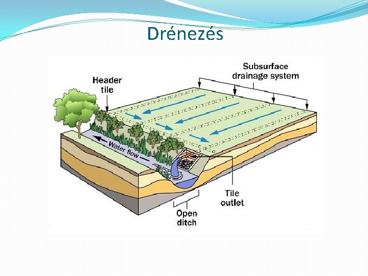 Drénezés Drénezés