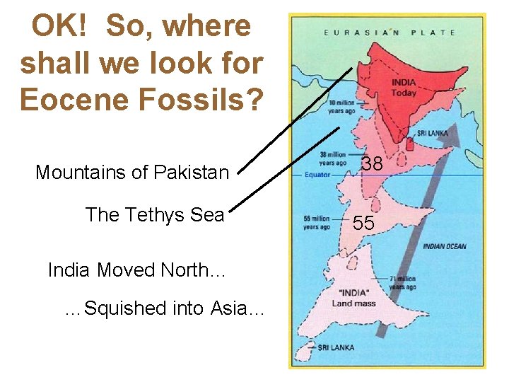 OK! So, where shall we look for Eocene Fossils? Mountains of Pakistan The Tethys