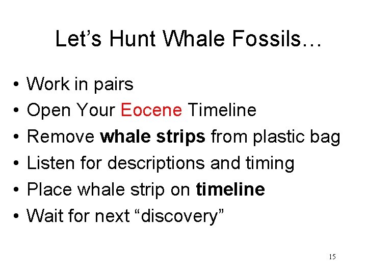 Let’s Hunt Whale Fossils… • • • Work in pairs Open Your Eocene Timeline
