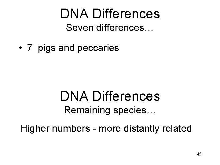 DNA Differences Seven differences… • 7 pigs and peccaries DNA Differences Remaining species… Higher