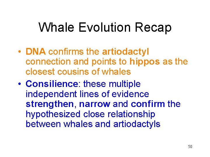 Whale Evolution Recap • DNA confirms the artiodactyl connection and points to hippos as