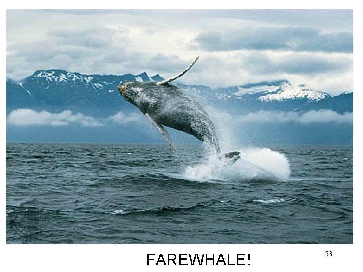 FAREWHALE! 53 