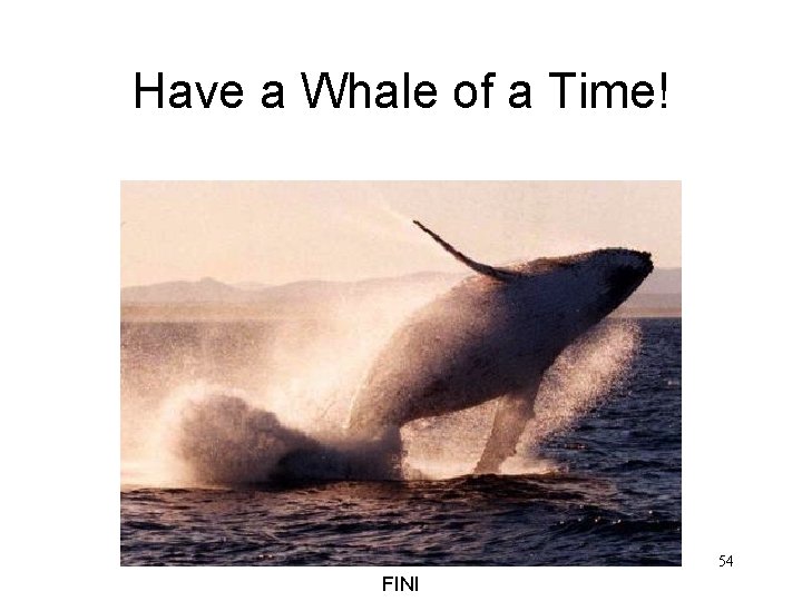 Have a Whale of a Time! 54 FINI 