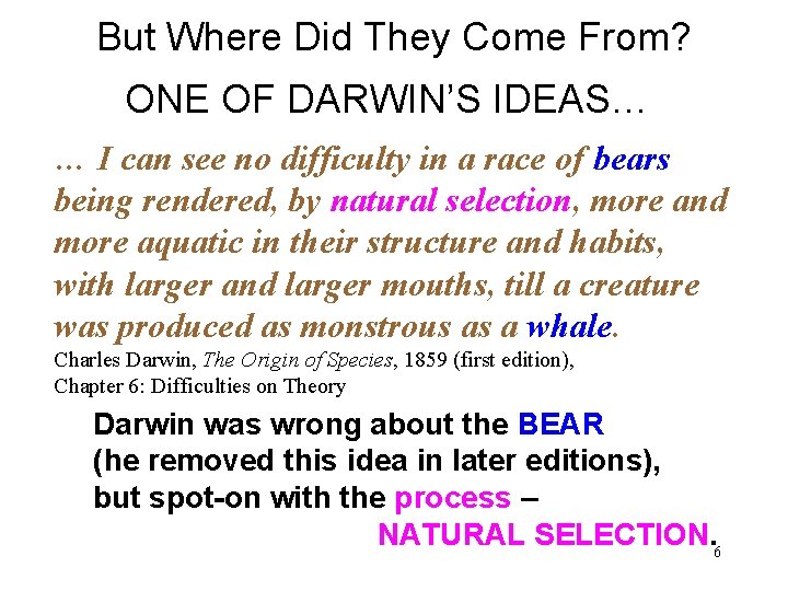 But Where Did They Come From? ONE OF DARWIN’S IDEAS… … I can see