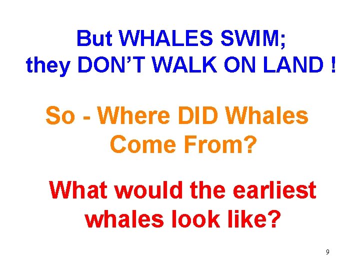 But WHALES SWIM; they DON’T WALK ON LAND ! So - Where DID Whales