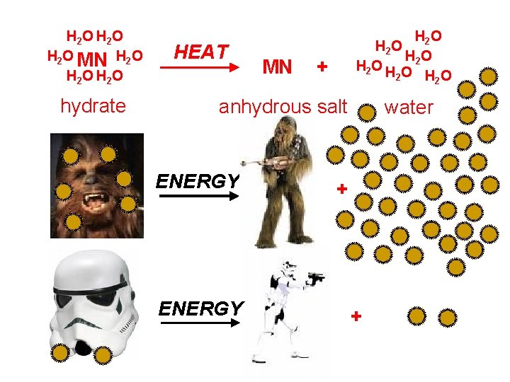 H 2 O H 2 O MN H 2 O H 2 O hydrate H 2 O H 2 O MN H 2 O H 2 O hydrate