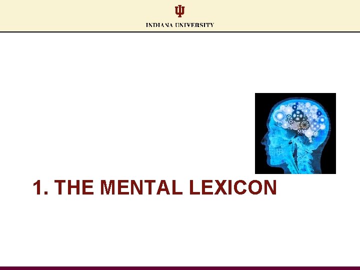 1. THE MENTAL LEXICON 