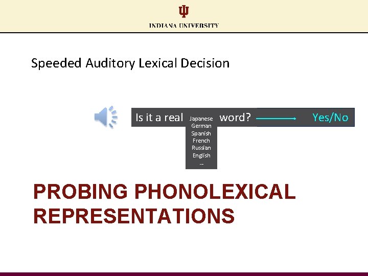 Speeded Auditory Lexical Decision Japanese Is it a real _____ word? German Spanish French