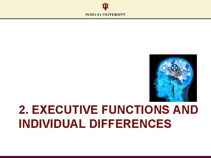 2. EXECUTIVE FUNCTIONS AND INDIVIDUAL DIFFERENCES 