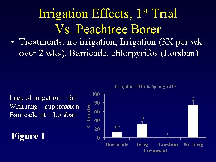 Irrigation Effects, 1 st Trial Vs. Peachtree Borer • Treatments: no irrigation, Irrigation (3