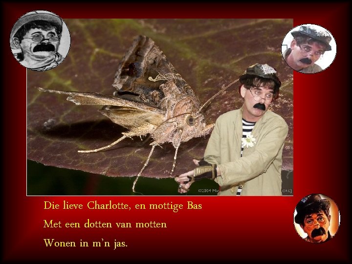 Die lieve Charlotte, en mottige Bas Met een dotten van motten Wonen in m’n