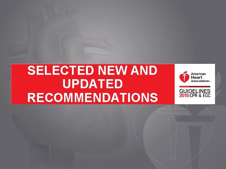 SELECTED NEW AND UPDATED RECOMMENDATIONS 