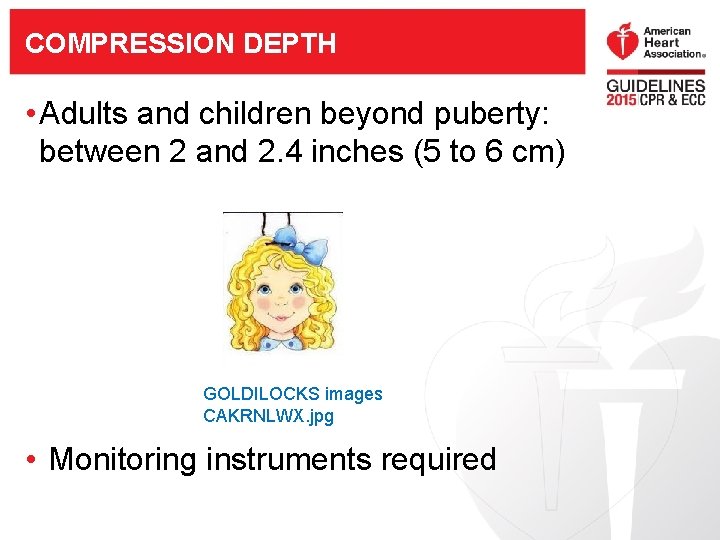 COMPRESSION DEPTH • Adults and children beyond puberty: between 2 and 2. 4 inches