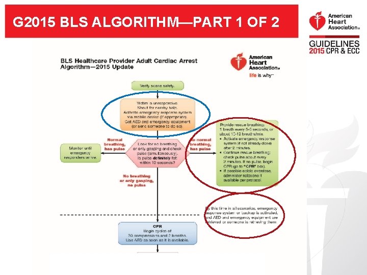 G 2015 BLS ALGORITHM—PART 1 OF 2 