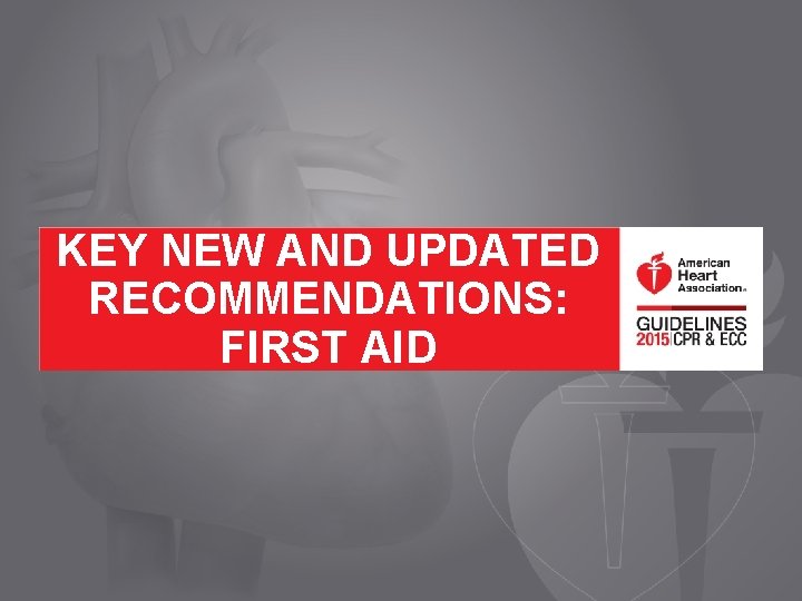 KEY NEW AND UPDATED RECOMMENDATIONS: FIRST AID 