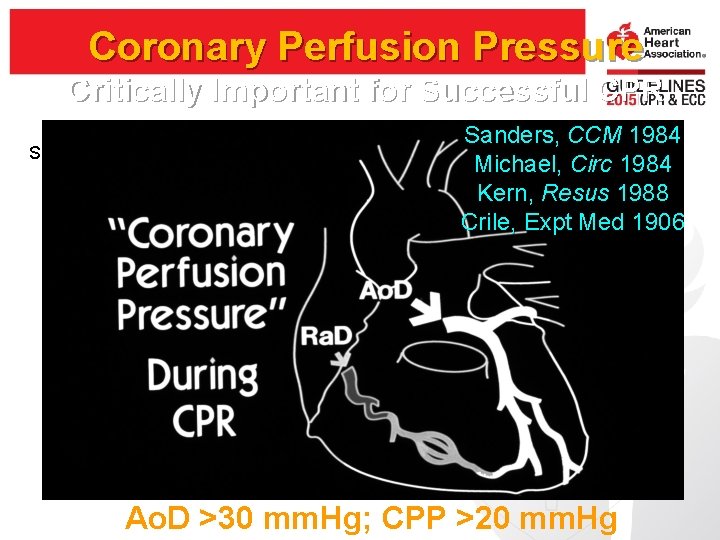 Coronary Perfusion Pressure Critically Important for Successful CPR Slide courtesy Nadkarni, Berg Sanders, CCM