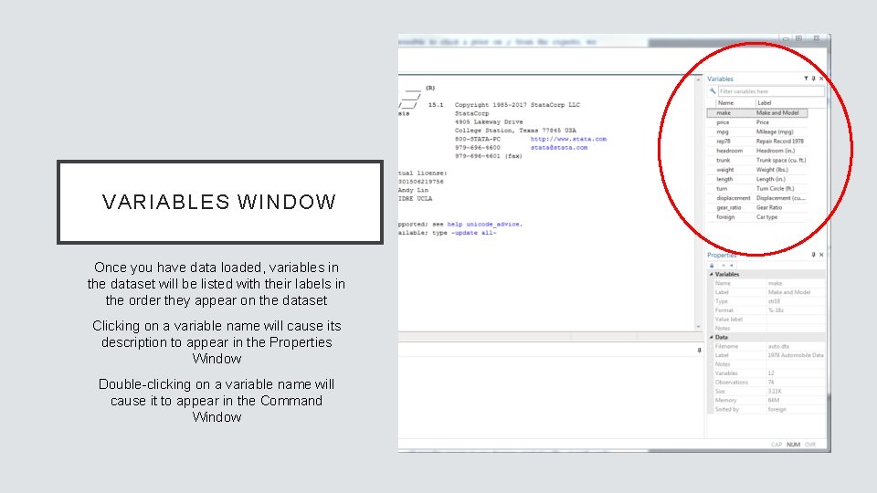 VARIABLES WINDOW Once you have data loaded, variables in the dataset will be listed