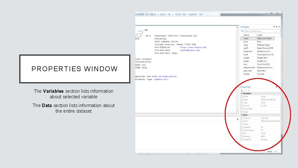 PROPERTIES WINDOW The Variables section lists information about selected variable The Data section lists