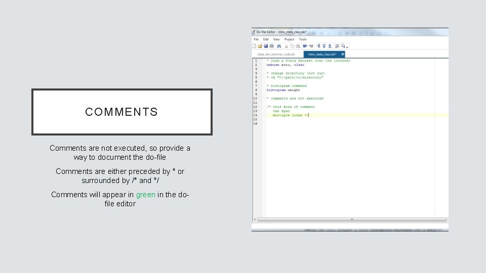 COMMENTS Comments are not executed, so provide a way to document the do-file Comments