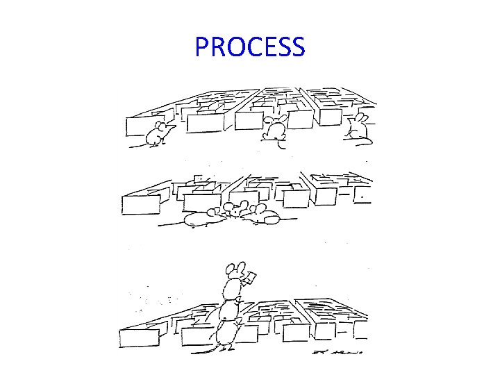 PROCESS 