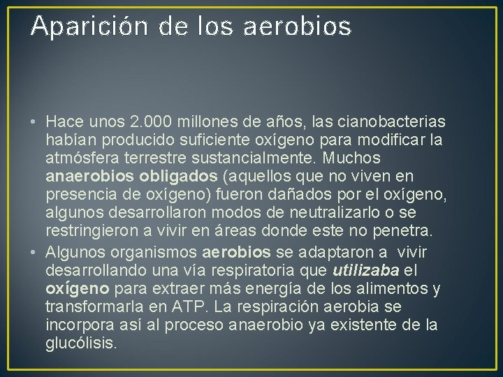 Aparición de los aerobios • Hace unos 2. 000 millones de años, las cianobacterias