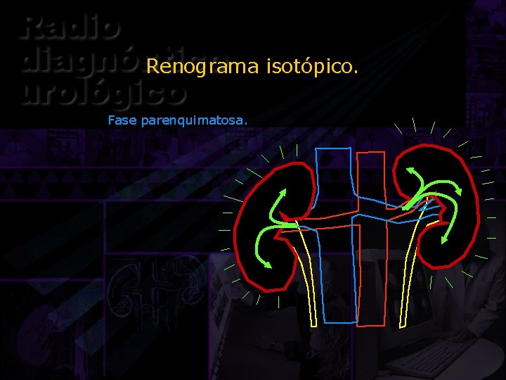 Renograma isotópico. Fase parenquimatosa. 