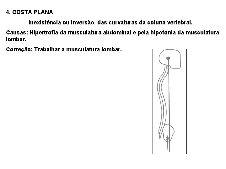 4. COSTA PLANA Inexistência ou inversão das curvaturas da coluna vertebral. Causas: Hipertrofia da