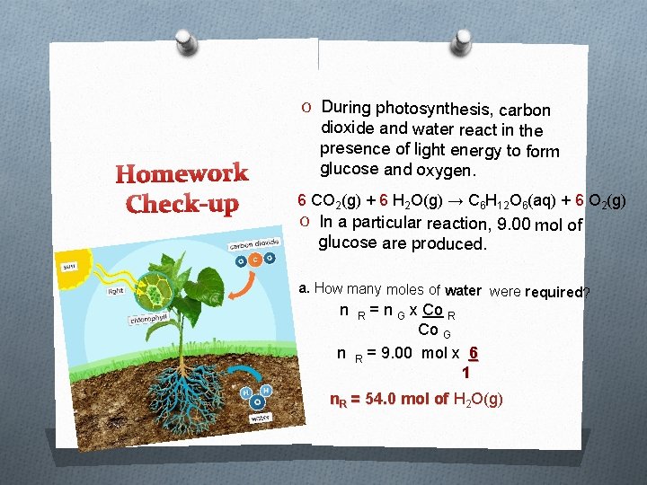 O During photosynthesis, carbon Homework Check-up dioxide and water react in the presence of