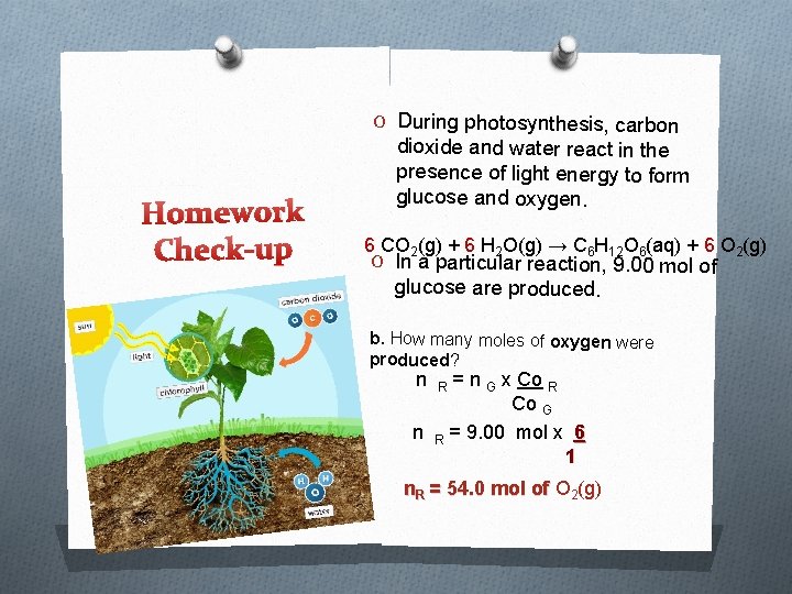 O During photosynthesis, carbon Homework Check-up dioxide and water react in the presence of