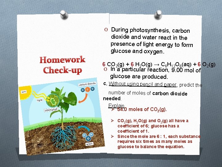 O During photosynthesis, carbon Homework Check-up dioxide and water react in the presence of