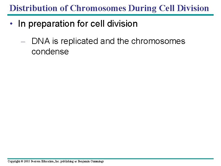 Distribution of Chromosomes During Cell Division • In preparation for cell division – DNA